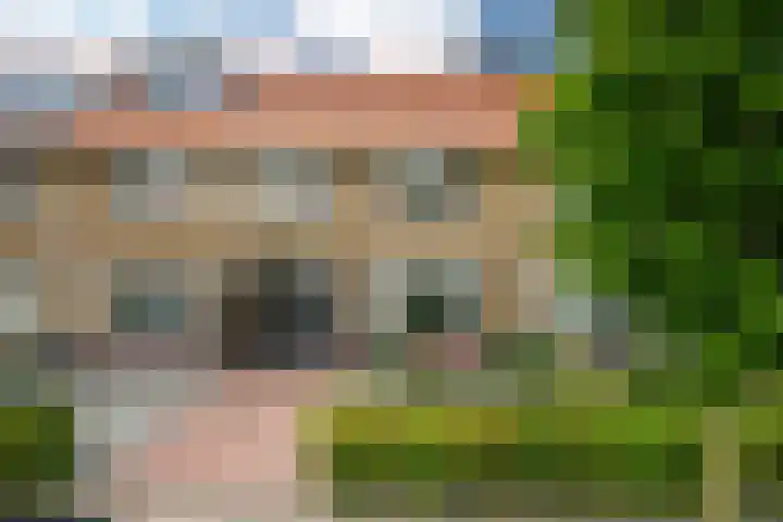 Amaliastraat 47 Sneek thumbnail 52