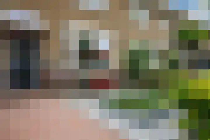 Amaliastraat 47 Sneek thumbnail 7