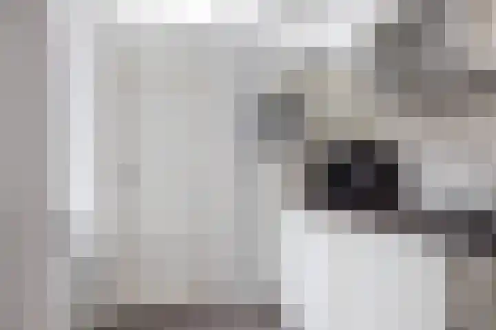 Amaliastraat 5 Sneek thumbnail 14