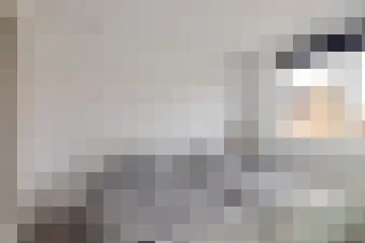Amaliastraat 5 Sneek thumbnail 21