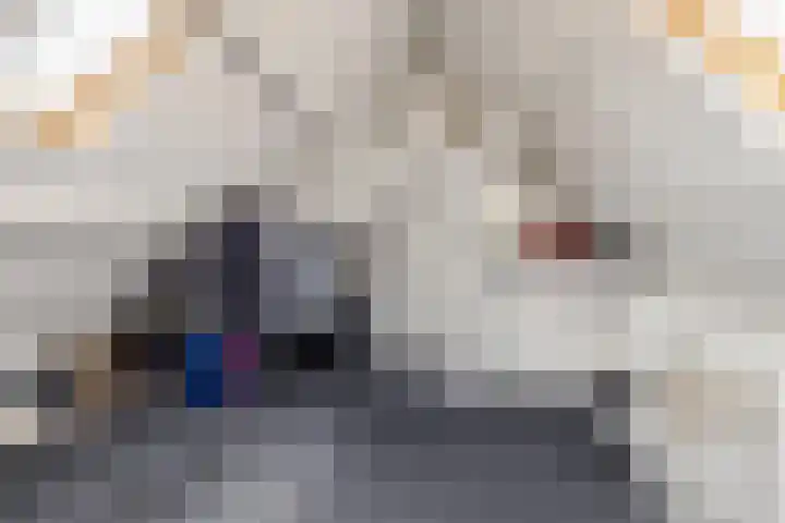 Amaliastraat 5 Sneek thumbnail 30