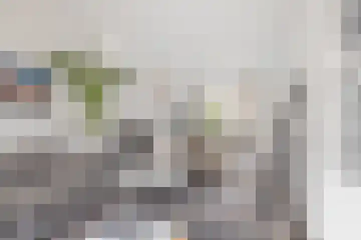 Amaliastraat 5 Sneek thumbnail 9