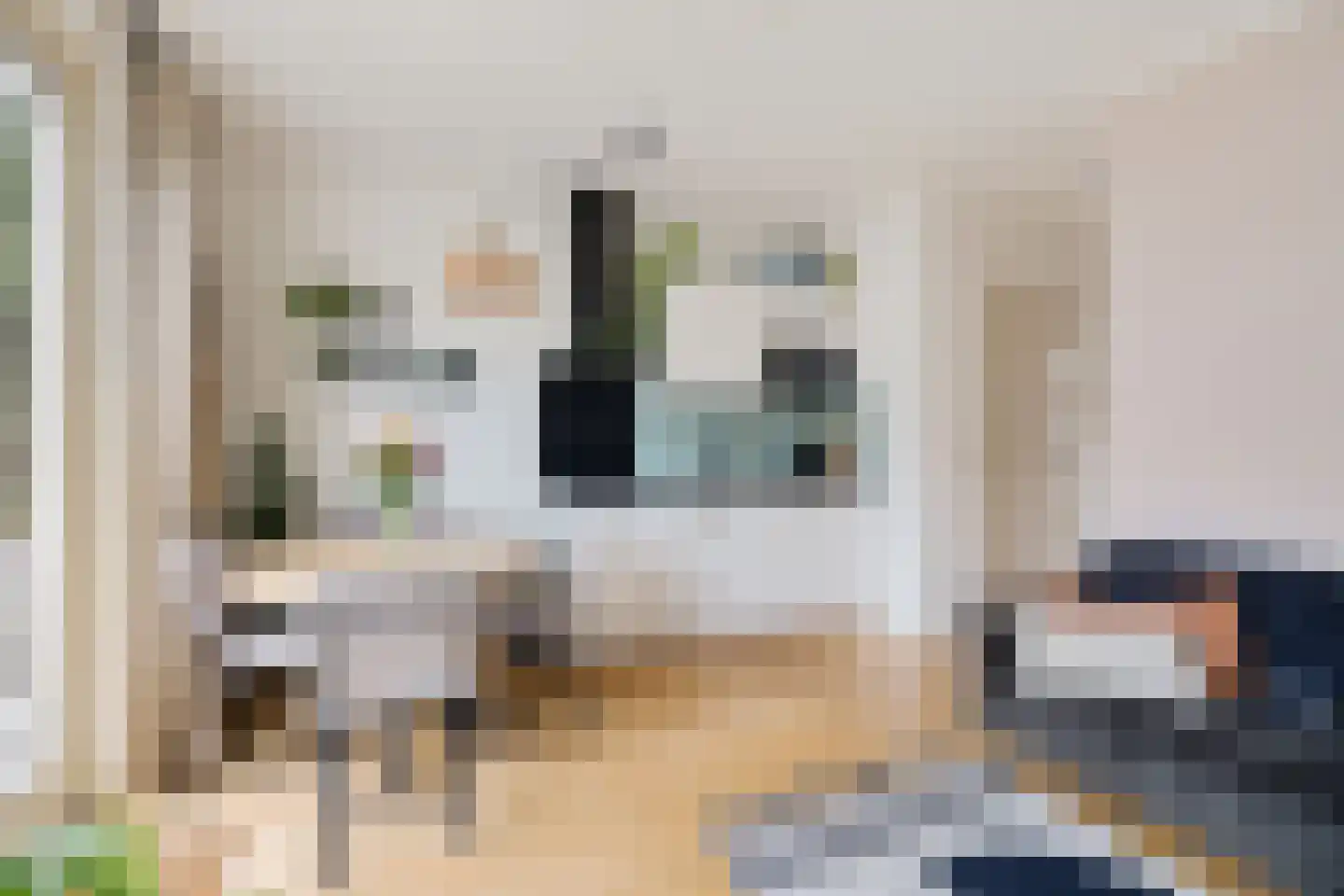 Amaliastraat 53 A Utrecht thumbnail 19