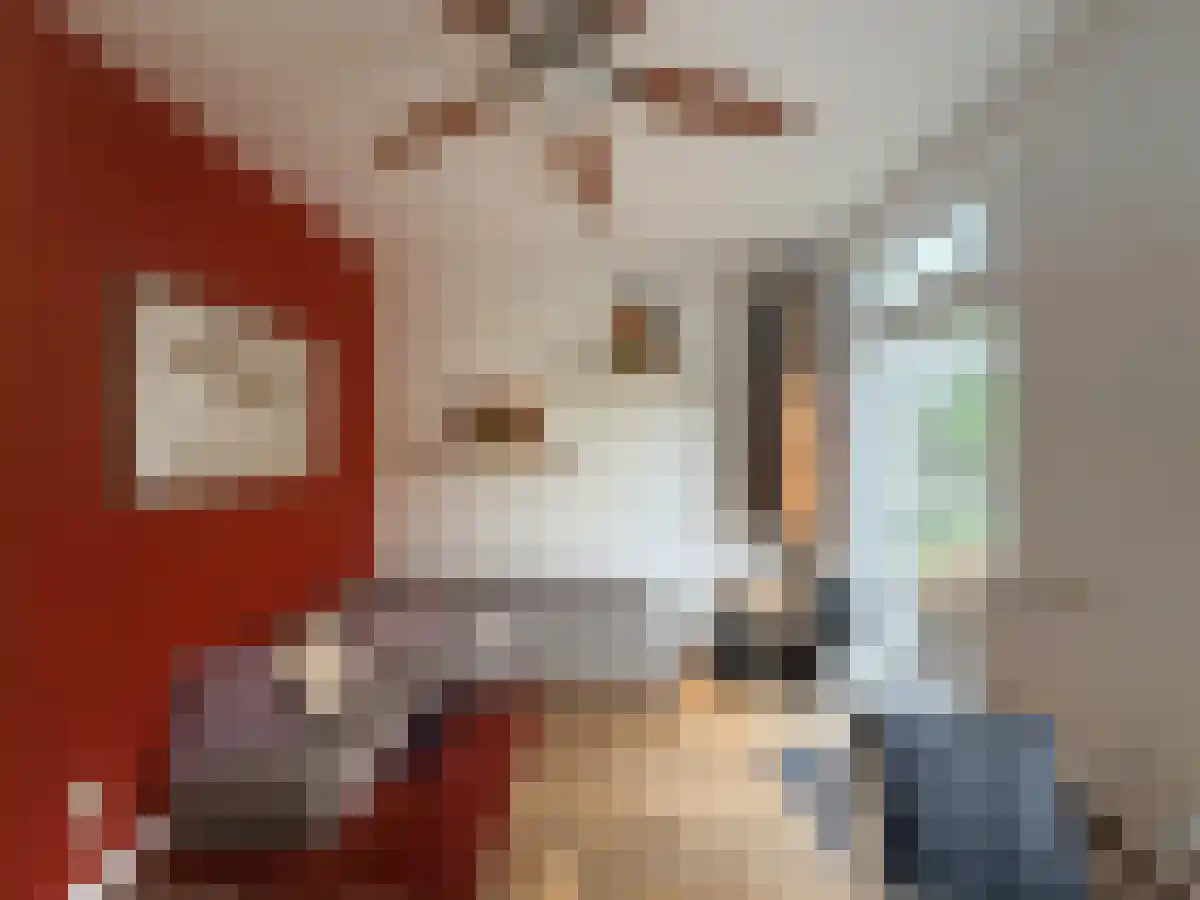 Amaliastraat 56 A Utrecht thumbnail 4