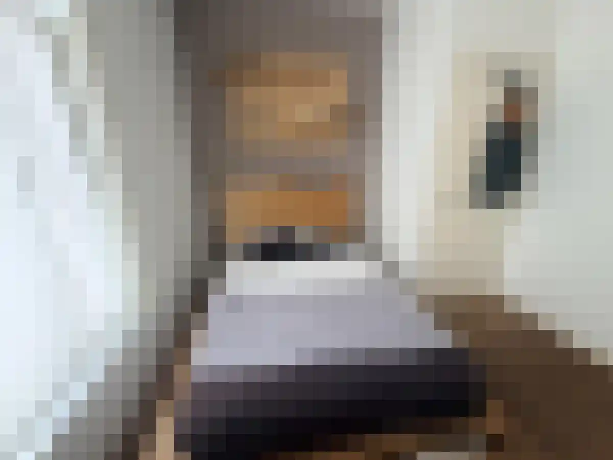 Amaliastraat 56 A Utrecht thumbnail 6