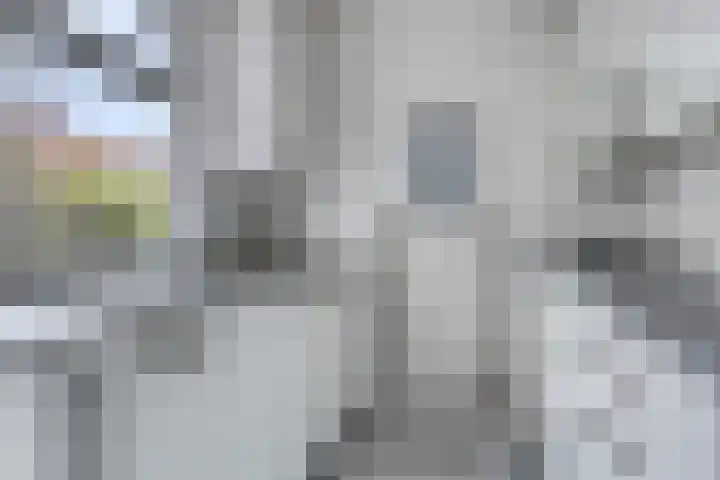 Amaliastraat 63 Sneek thumbnail 10