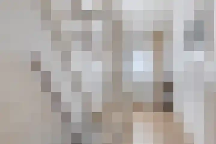 Amaliastraat 63 Sneek thumbnail 12