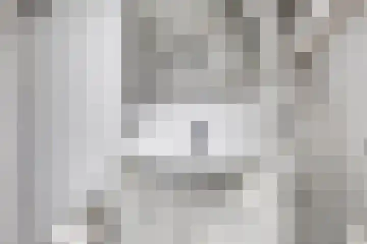Amaliastraat 63 Sneek thumbnail 16