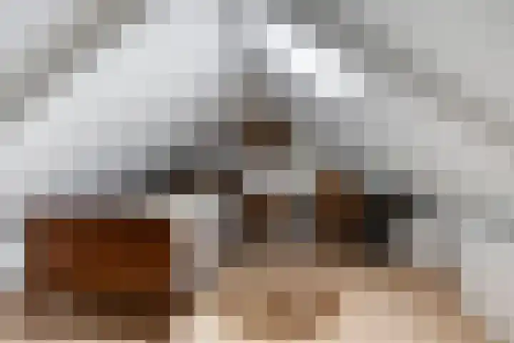 Amaliastraat 63 Sneek thumbnail 22