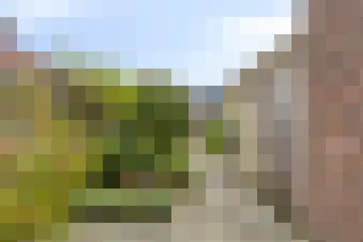 Amaliastraat 63 Sneek thumbnail 24