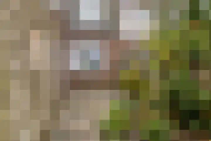 Amaliastraat 63 Sneek thumbnail 26