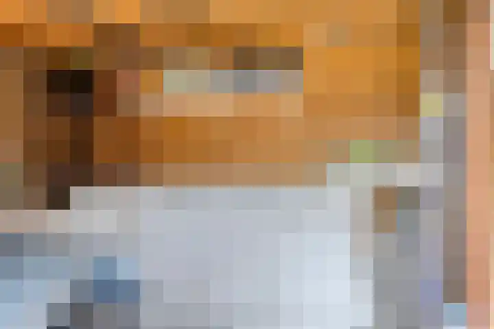 Amaliastraat 63 Sneek thumbnail 27