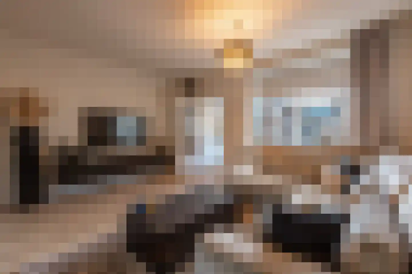 Amaliastraat 69 Sneek thumbnail 10