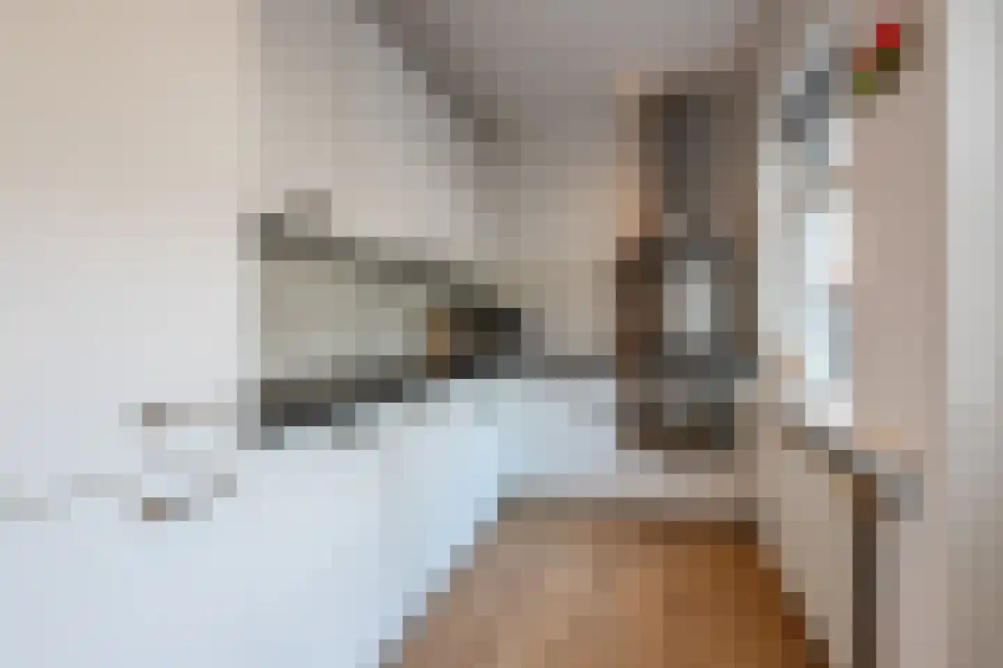 Amaliastraat 69 Sneek thumbnail 12