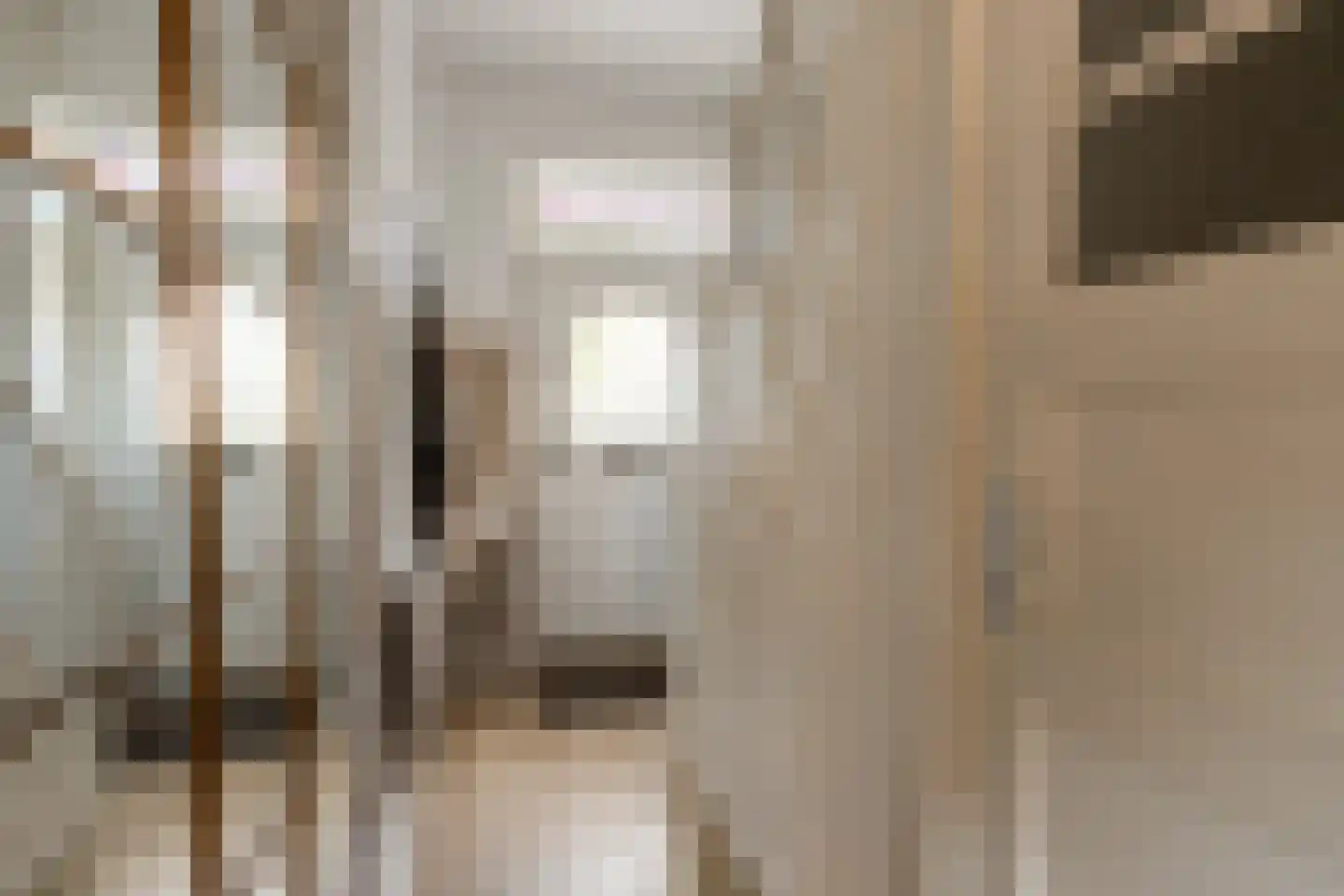 Amaliastraat 69 Sneek thumbnail 14