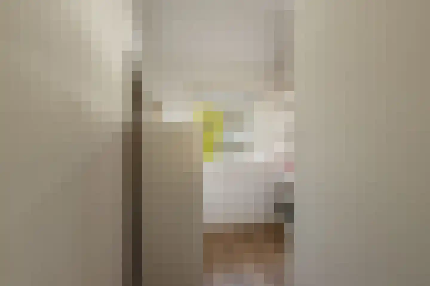 Amaliastraat 69 Sneek thumbnail 21