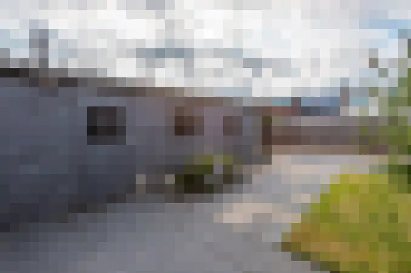 Amaliastraat 69 Sneek thumbnail 27