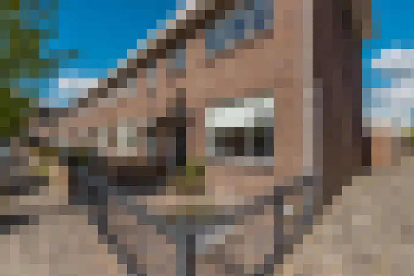 Amaliastraat 69 Sneek thumbnail 34