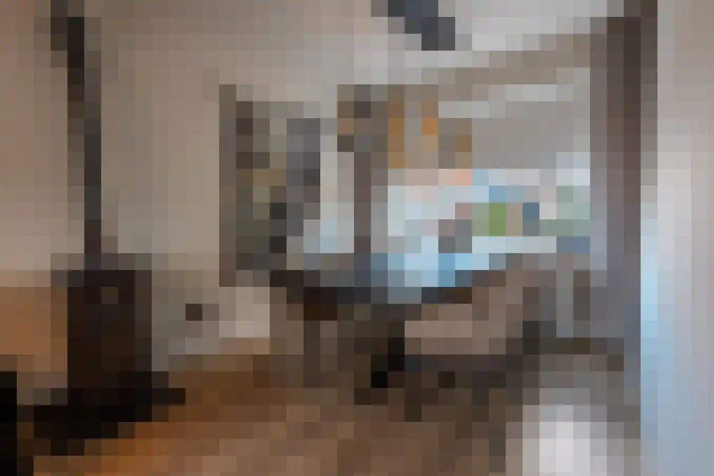 Amaliastraat 69 Sneek thumbnail 6
