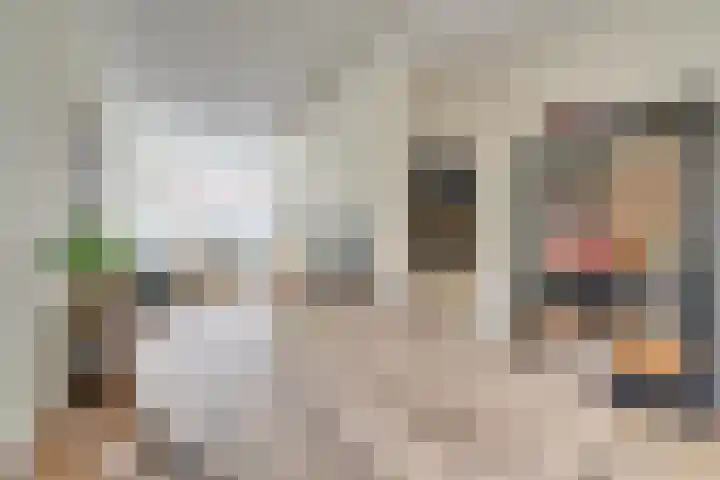 Amaliastraat 72 Utrecht thumbnail 15