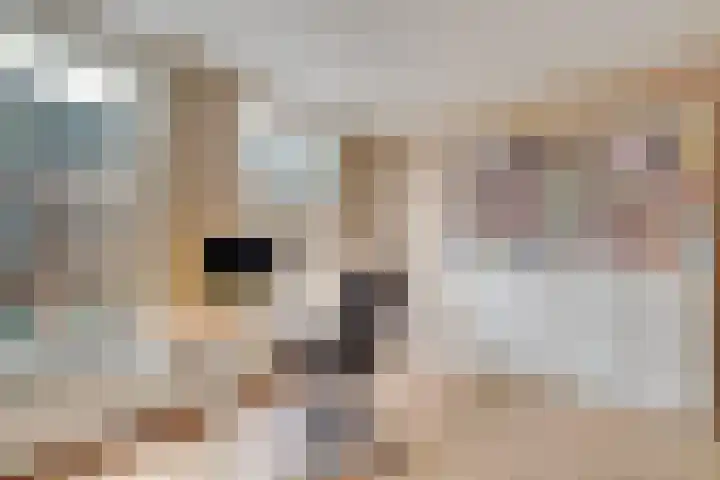 Amaliastraat 72 Utrecht thumbnail 35