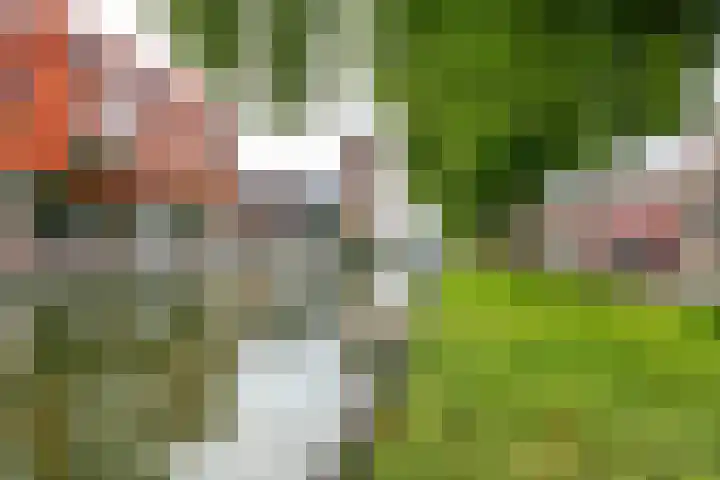 Amaliastraat 72 Utrecht thumbnail 60