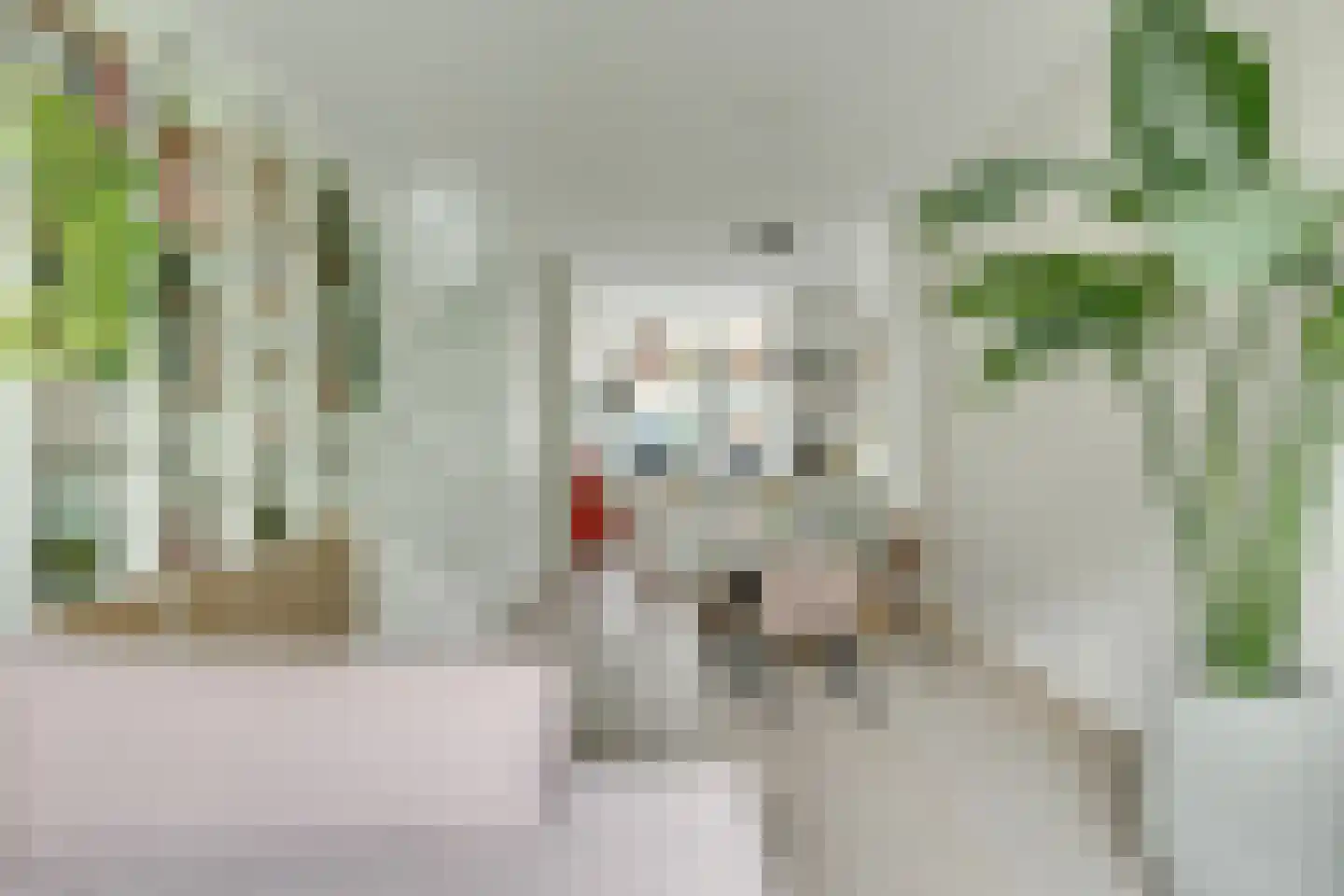 Amaliastraat 83 Utrecht thumbnail 15