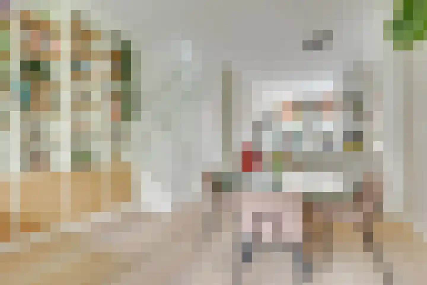 Amaliastraat 83 Utrecht thumbnail 16