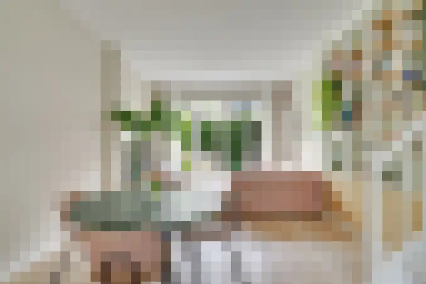 Amaliastraat 83 Utrecht thumbnail 18