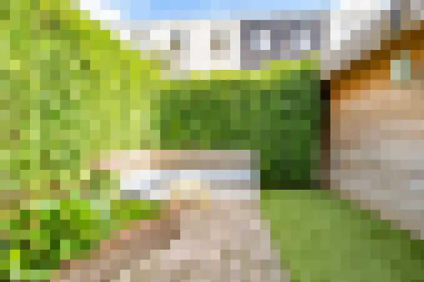 Amaliastraat 83 Utrecht thumbnail 39