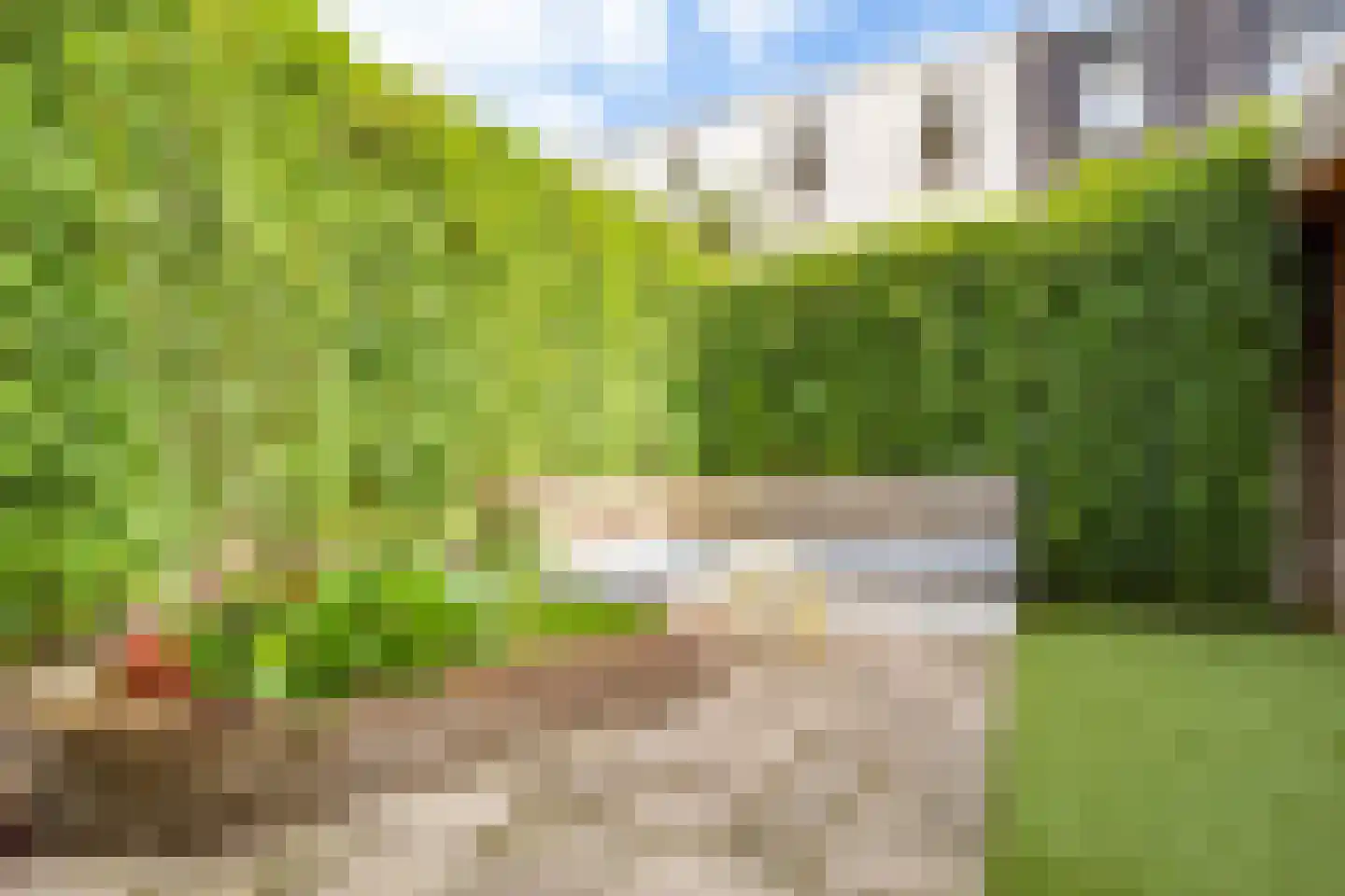 Amaliastraat 83 Utrecht thumbnail 41