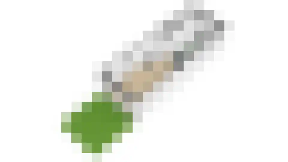 Amaliastraat 83 Utrecht thumbnail 61