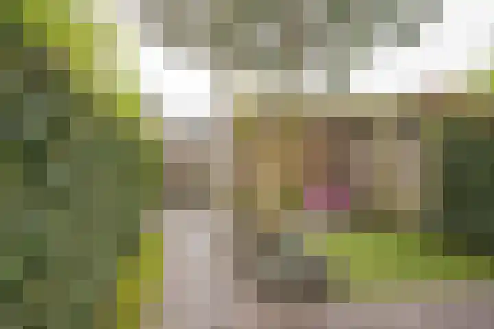 Amandel 7 Nijkerk thumbnail 13