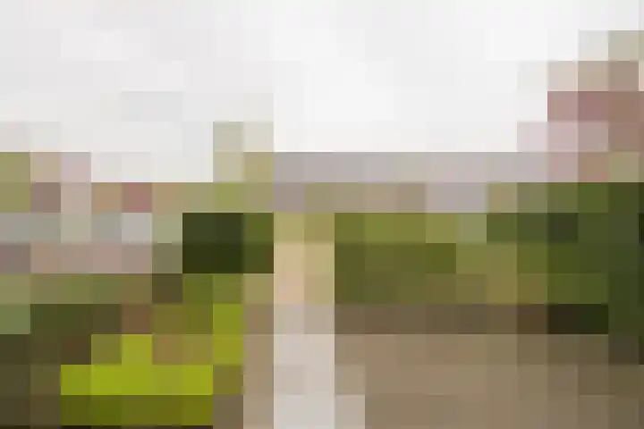 Amandel 7 Nijkerk thumbnail 15