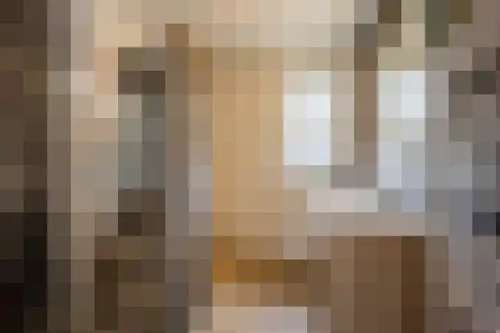 Amandel 7 Nijkerk thumbnail 35