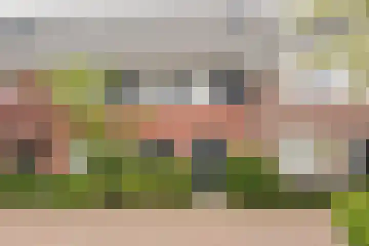 Amandel 7 Nijkerk thumbnail 5
