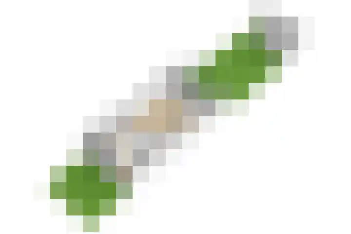 Amandel 7 Nijkerk thumbnail 52
