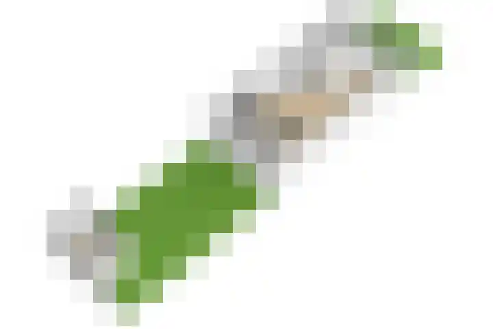 Amandel 7 Nijkerk thumbnail 53