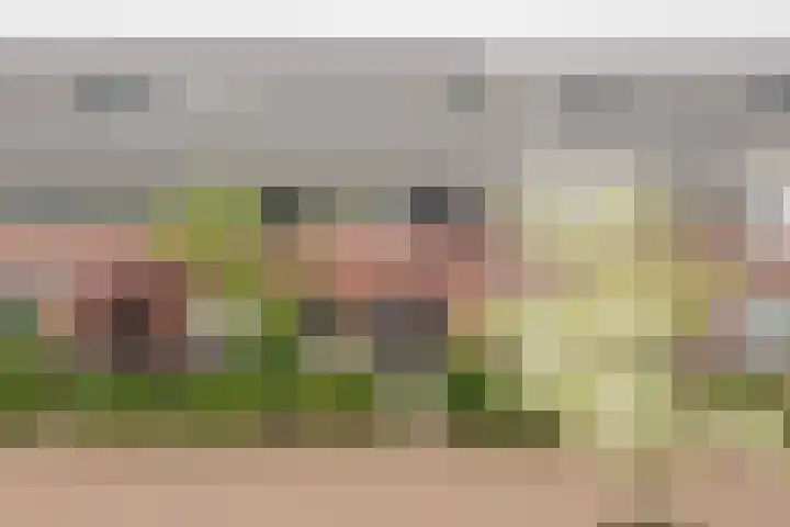 Amandel 7 Nijkerk thumbnail 6