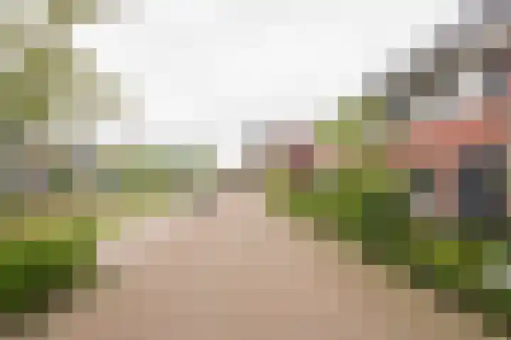 Amandel 7 Nijkerk thumbnail 7
