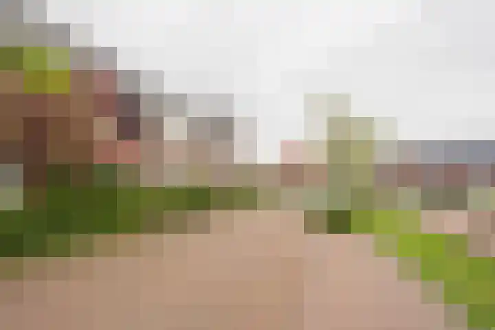 Amandel 7 Nijkerk thumbnail 8