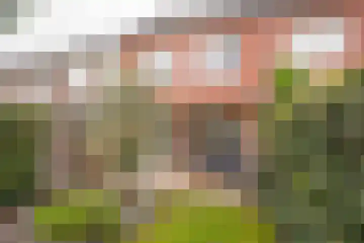 Amandel 7 Nijkerk thumbnail 9