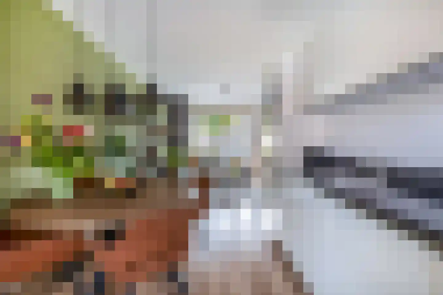 Amandelgaard 13 Spijkenisse thumbnail 19