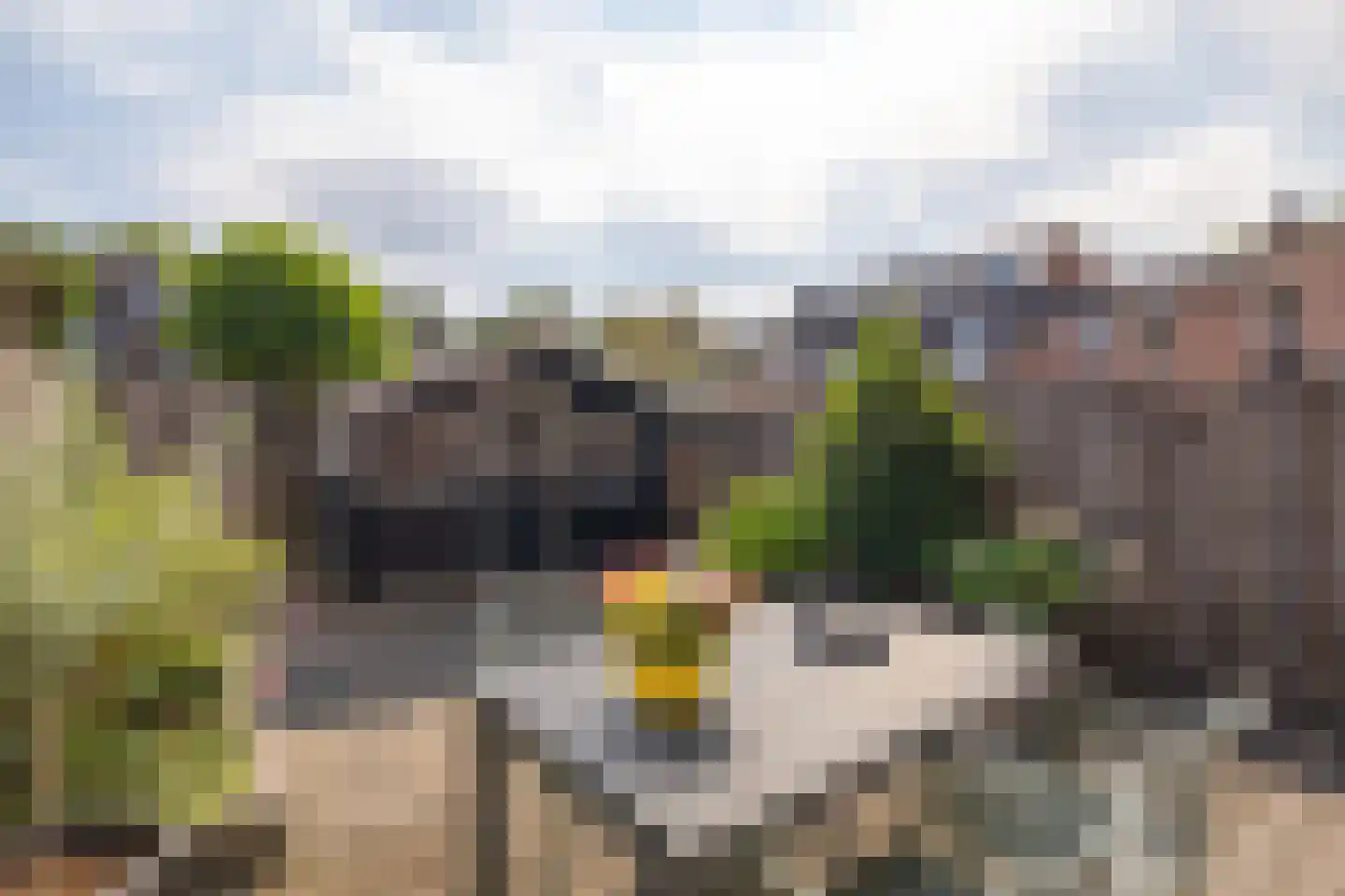 Amandelgaard 13 Spijkenisse thumbnail 22