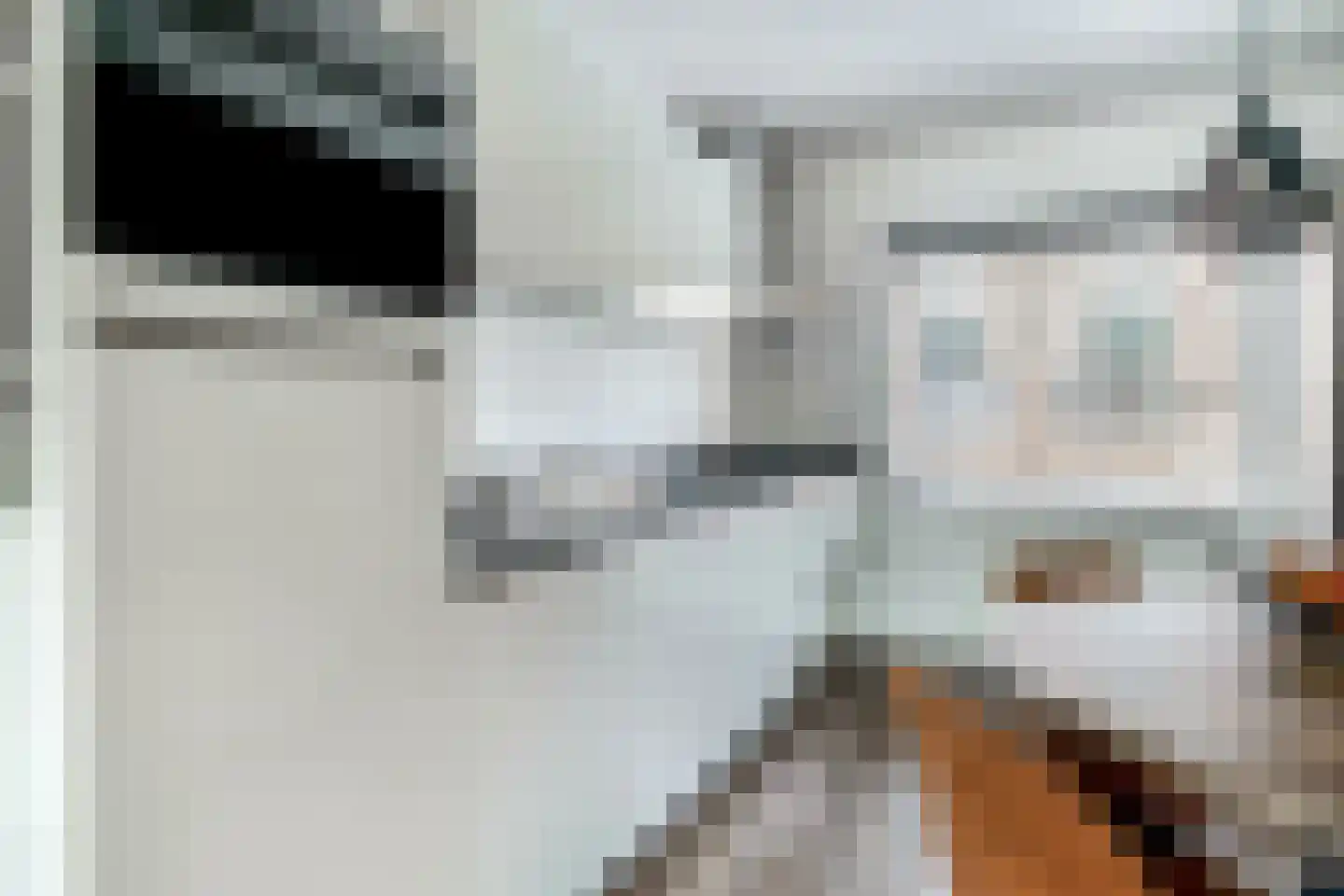 Amandelgaard 13 Spijkenisse thumbnail 4