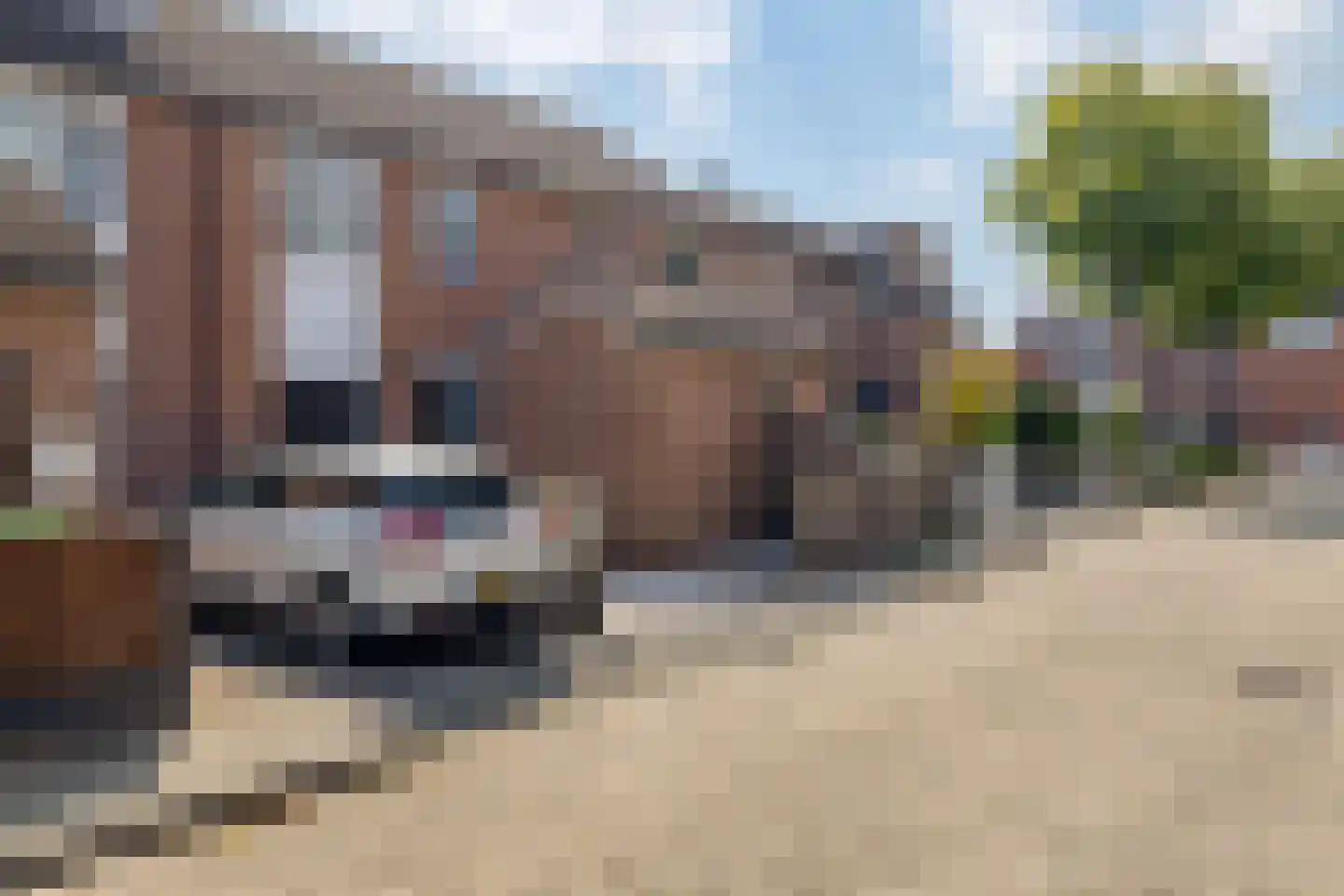 Amandelgaard 13 Spijkenisse thumbnail 7