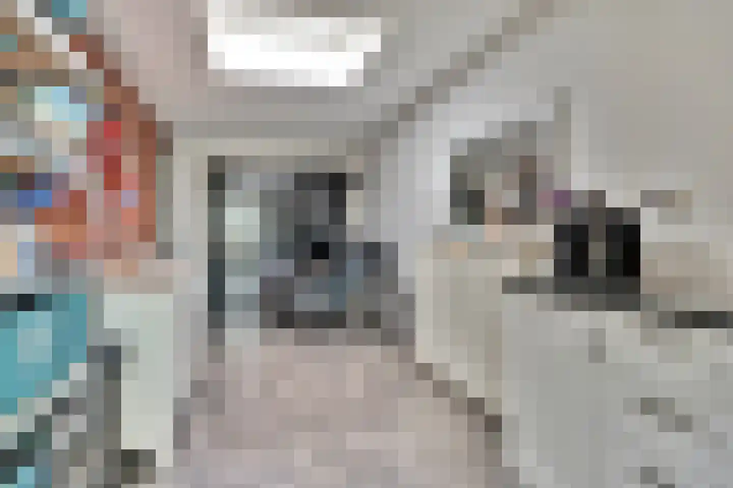 Amandelgaard 3 De Goorn thumbnail 24