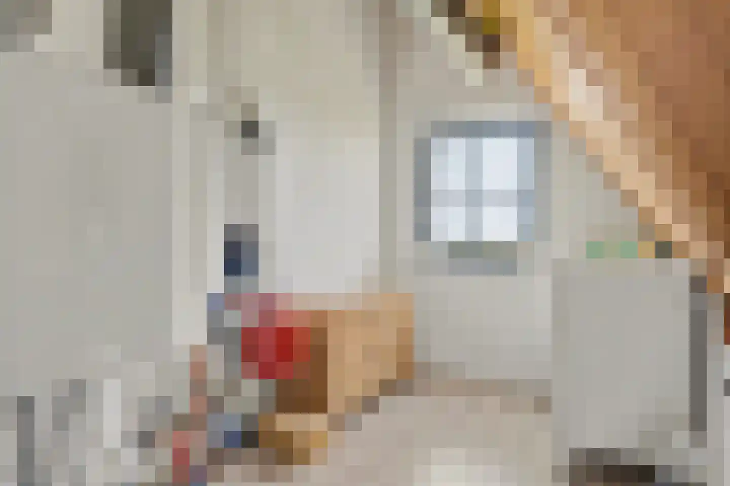 Amandelgaard 3 De Goorn thumbnail 46