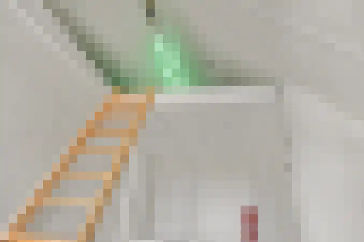 Amandelgaard 3 De Goorn thumbnail 47