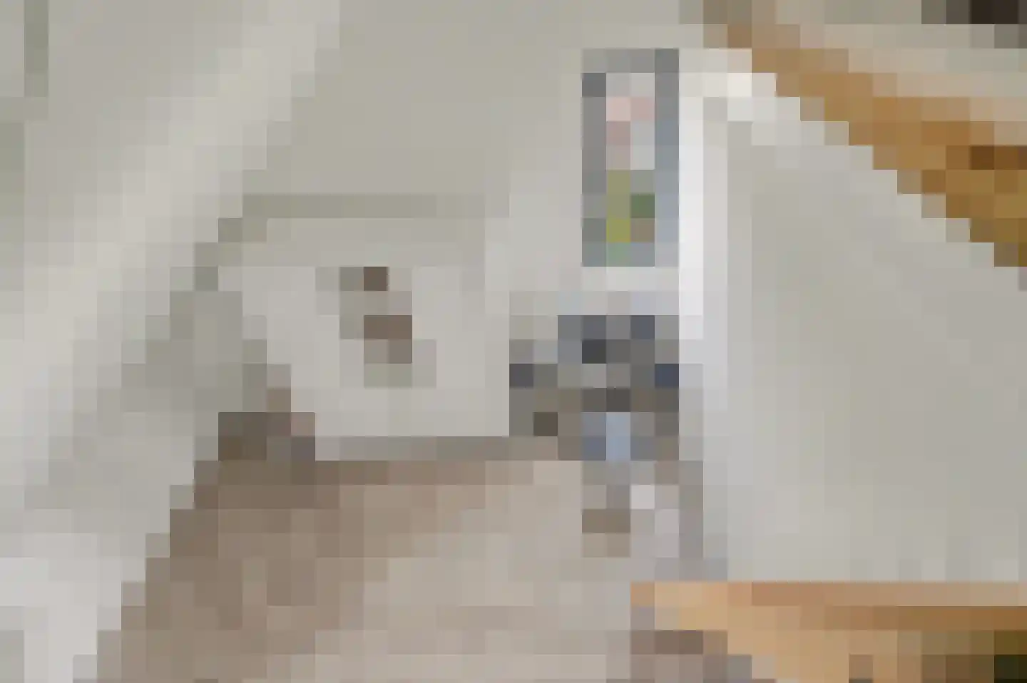 Amandelgaard 3 De Goorn thumbnail 50